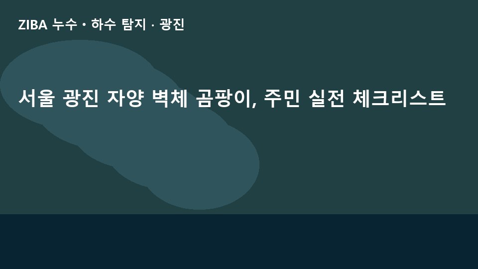 서울 광진 자양 벽체 곰팡이, 주민 실전 체크리스트