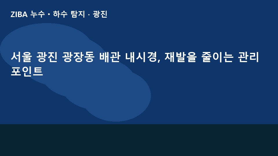 서울 광진 광장동 배관 내시경, 재발을 줄이는 관리 포인트