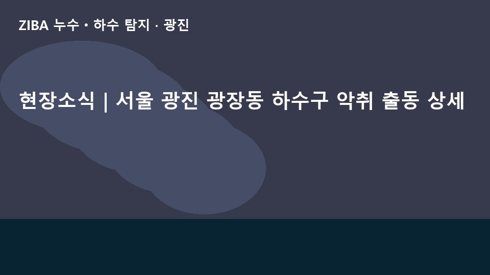 현장소식 | 서울 광진 광장동 하수구 악취 출동 상세