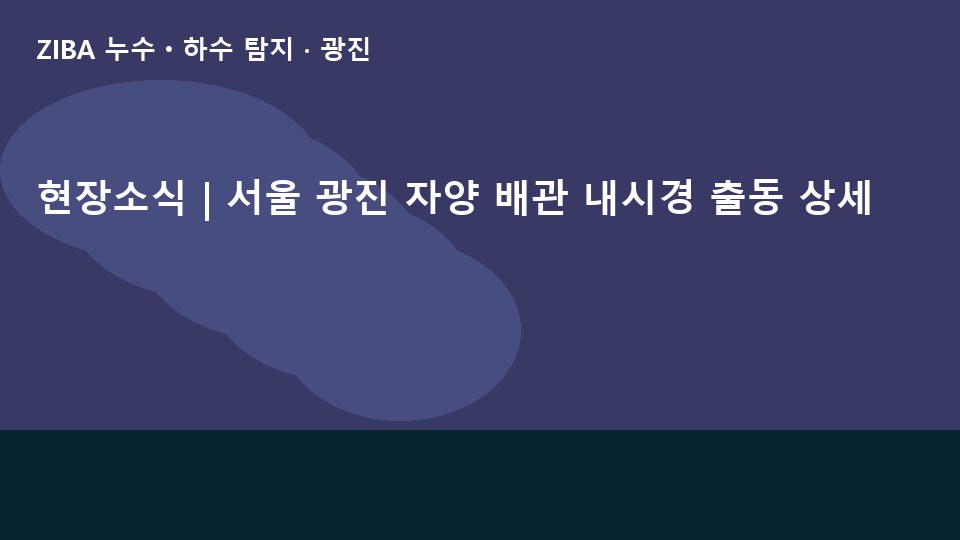 현장소식 | 서울 광진 자양 배관 내시경 출동 상세